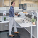 Lotus DX Sit-Stand Workstation