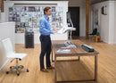 Lotus Sit-Stand Workstation