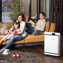 Boneco Air Purifer P500 - for the home
