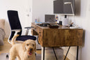 corner nook - home office furniture - elevate task chair - goldendoodle dog - @calvinandhub 